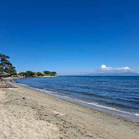 Lazaridi アパート *